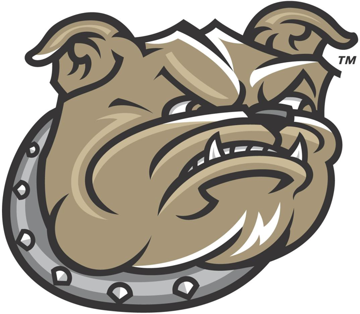 Bryant Bulldogs 2005-Pres Secondary Logo diy fabric transfer